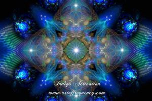 Indigo Actavation_MG1.jpg